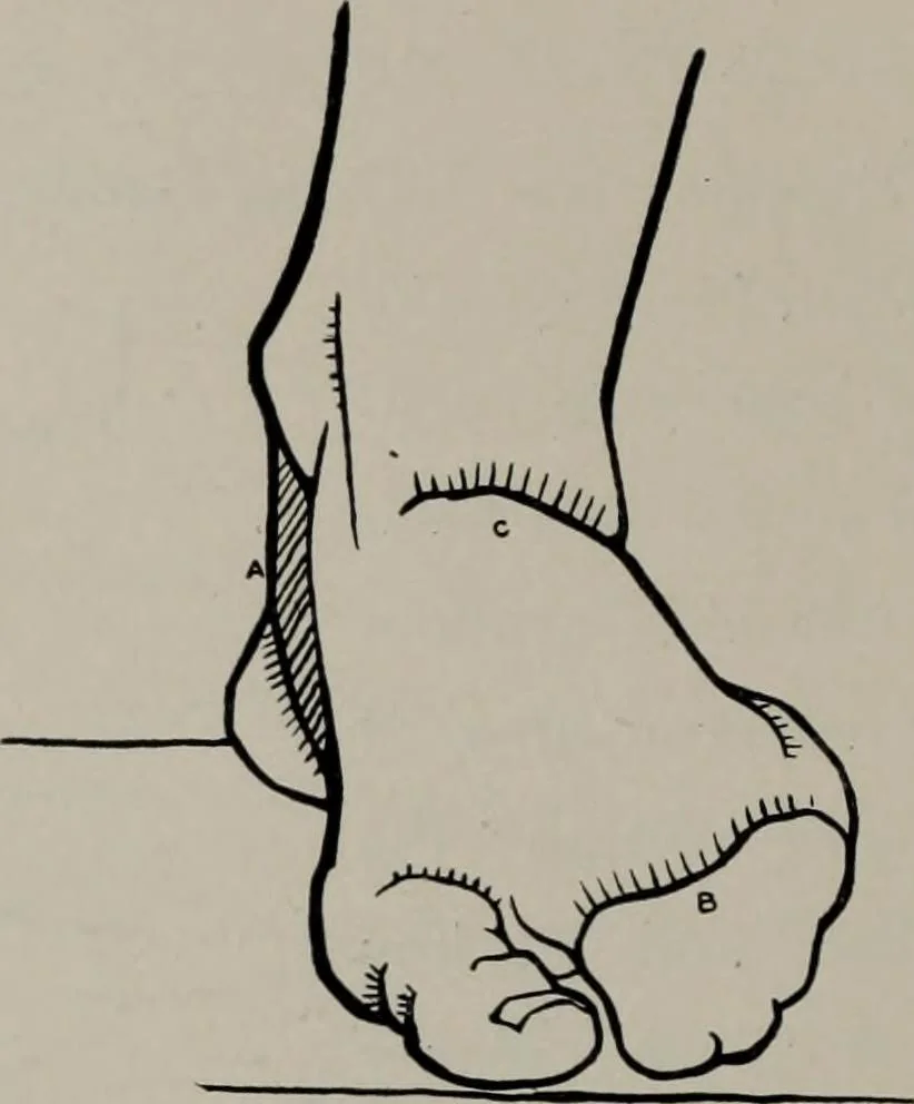 An illustration from Modelling; a guide for teachers and students, 1902, leaf 41