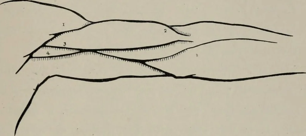 An illustration from Modelling; a guide for teachers and students, 1902, leaf 42