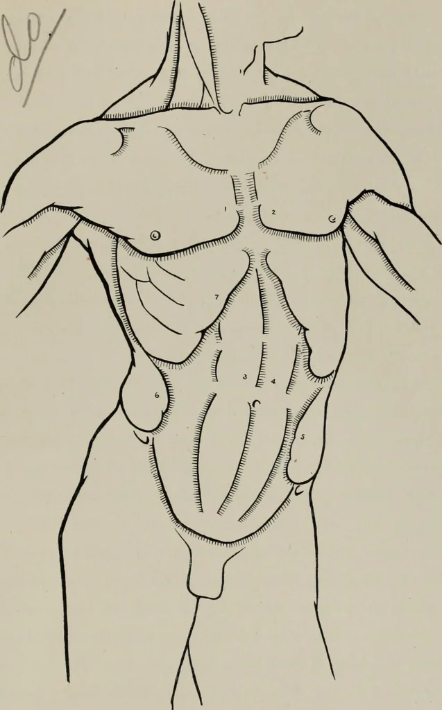 An illustration from Modelling; a guide for teachers and students, 1902, leaf 44