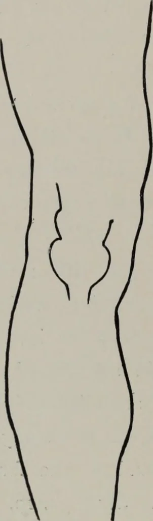 An illustration from Modelling; a guide for teachers and students, 1902, leaf 47