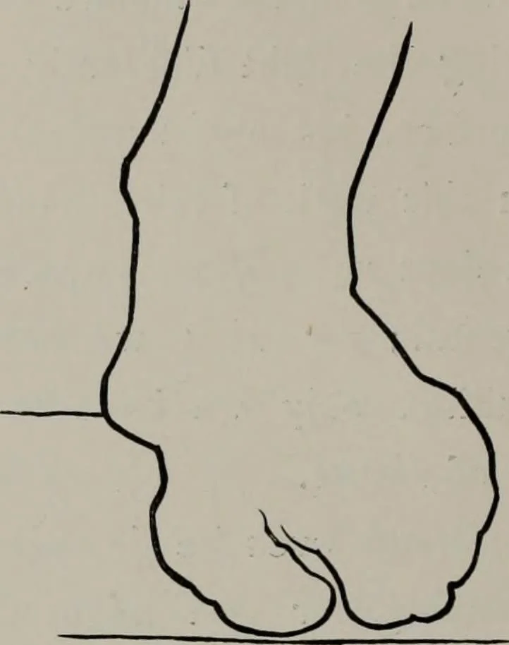 An illustration from Modelling; a guide for teachers and students, 1902, leaf 47