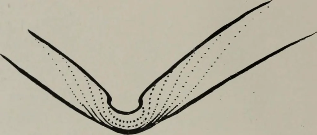 An illustration from Modelling; a guide for teachers and students, 1902, leaf 55