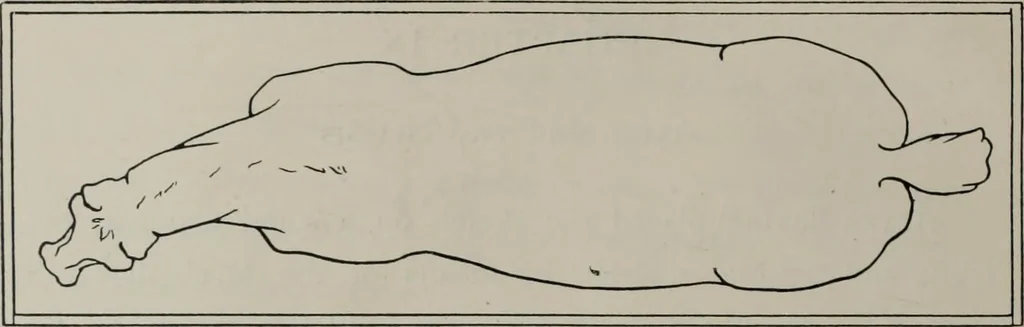 An illustration from Modelling; a guide for teachers and students, 1902, leaf 111