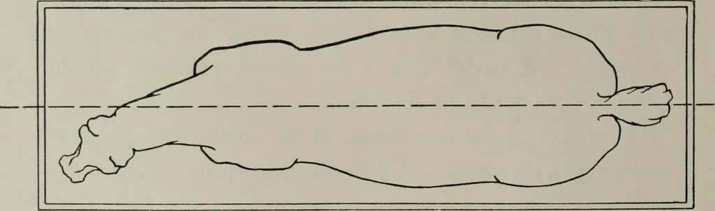 An illustration from Modelling; a guide for teachers and students, 1902, leaf 111