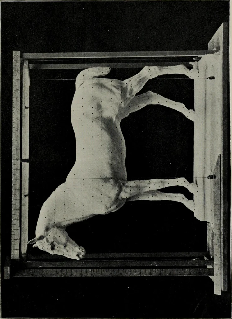 An illustration from Modelling; a guide for teachers and students, 1902, leaf 112
