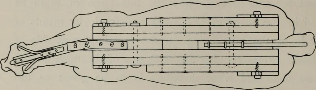 An illustration from Modelling; a guide for teachers and students, 1902, leaf 127