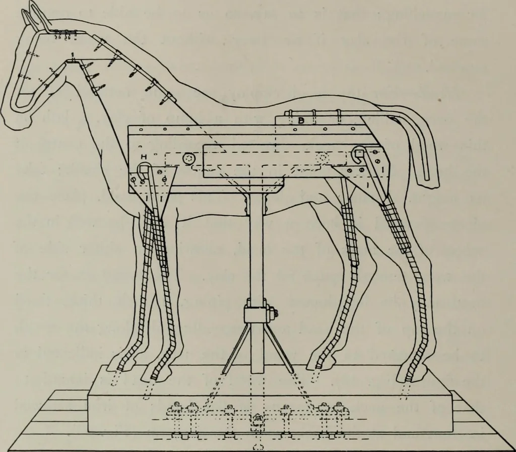 An illustration from Modelling; a guide for teachers and students, 1902, leaf 127