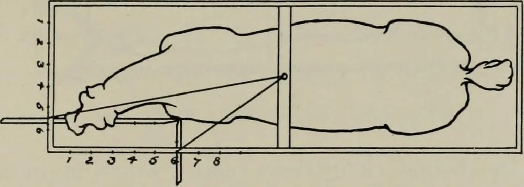 An illustration from Modelling; a guide for teachers and students, 1902, leaf 136