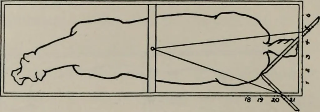 An illustration from Modelling; a guide for teachers and students, 1902, leaf 137