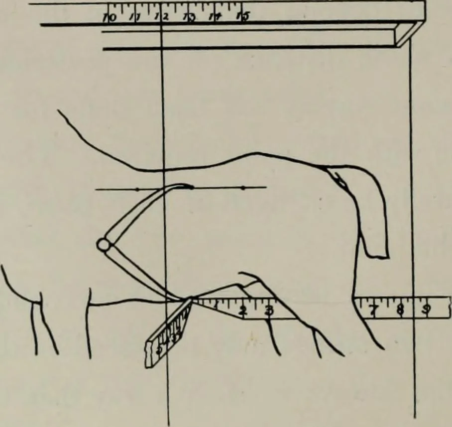 An illustration from Modelling; a guide for teachers and students, 1902, leaf 137