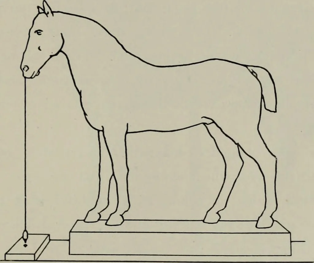 An illustration from Modelling; a guide for teachers and students, 1902, leaf 138