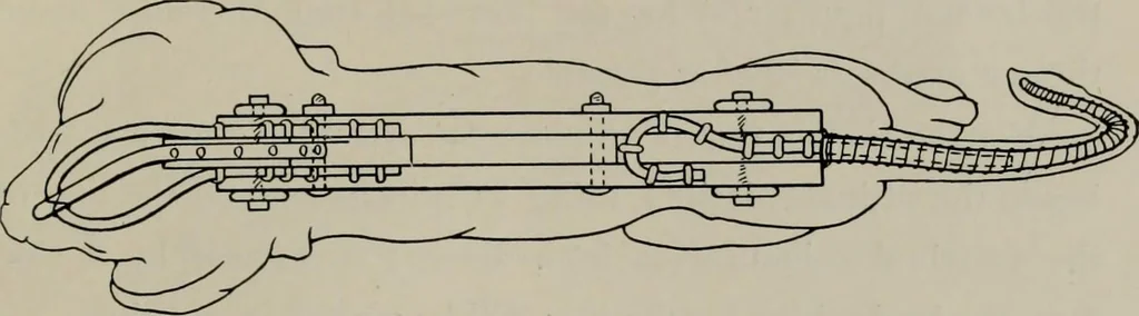 An illustration from Modelling; a guide for teachers and students, 1902, leaf 170