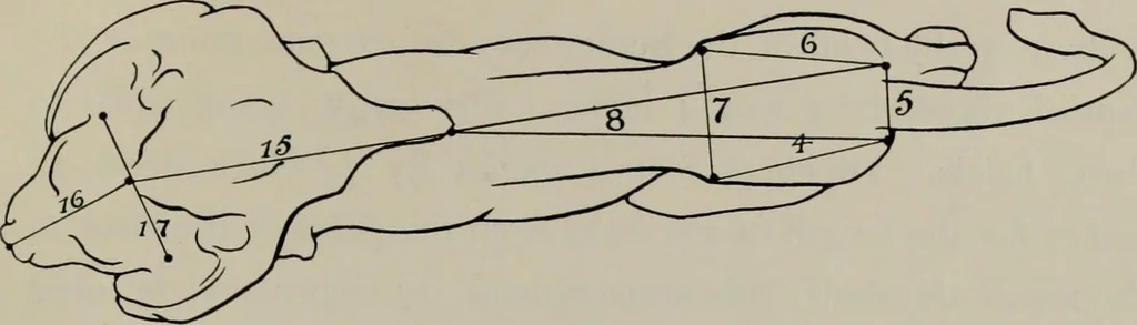 An illustration from Modelling; a guide for teachers and students, 1902, leaf 172