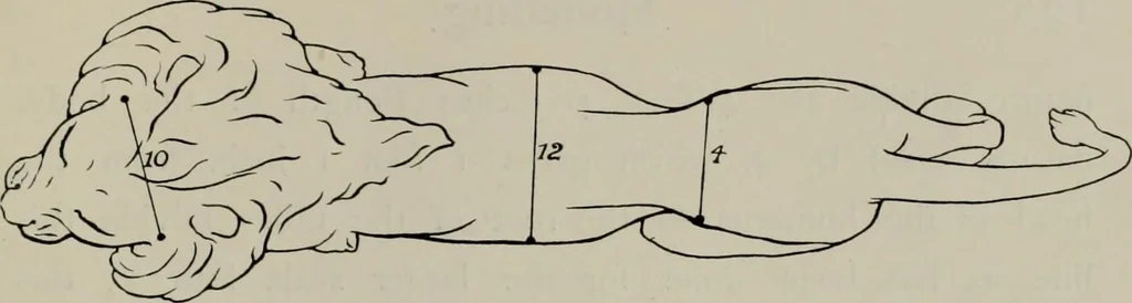 An illustration from Modelling; a guide for teachers and students, 1902, leaf 178