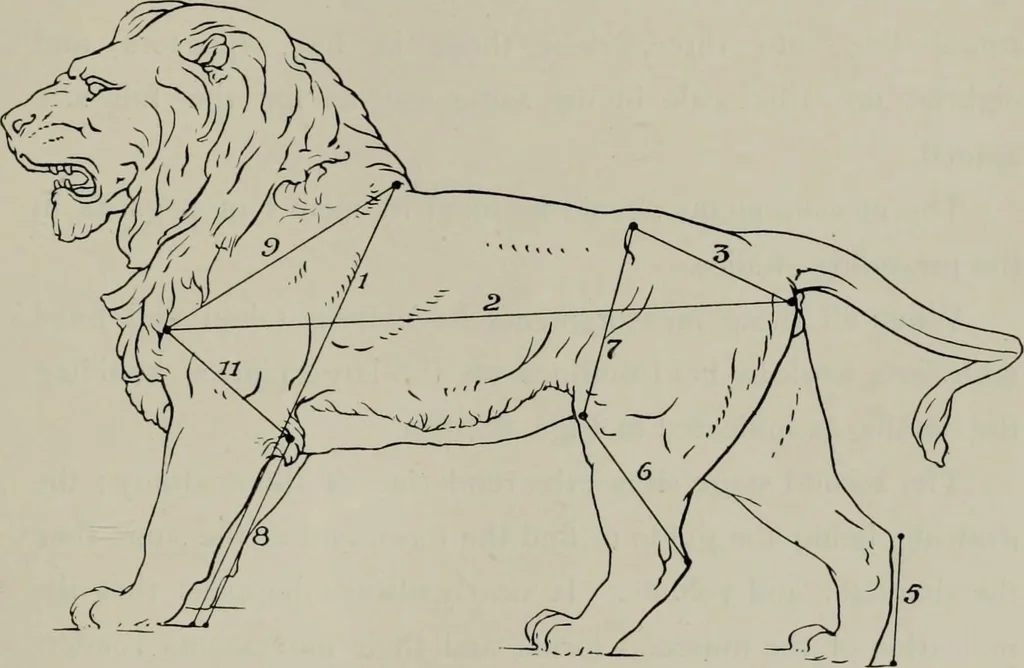 An illustration from Modelling; a guide for teachers and students, 1902, leaf 178