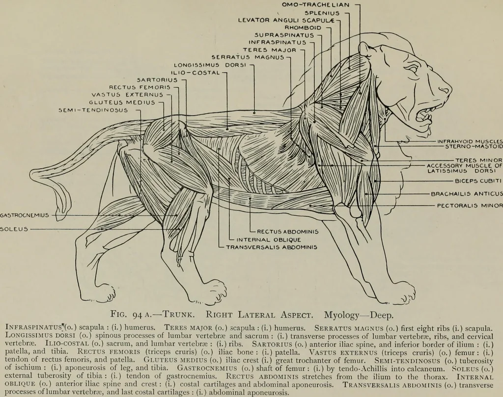 An illustration from Modelling; a guide for teachers and students, 1902, leaf 190