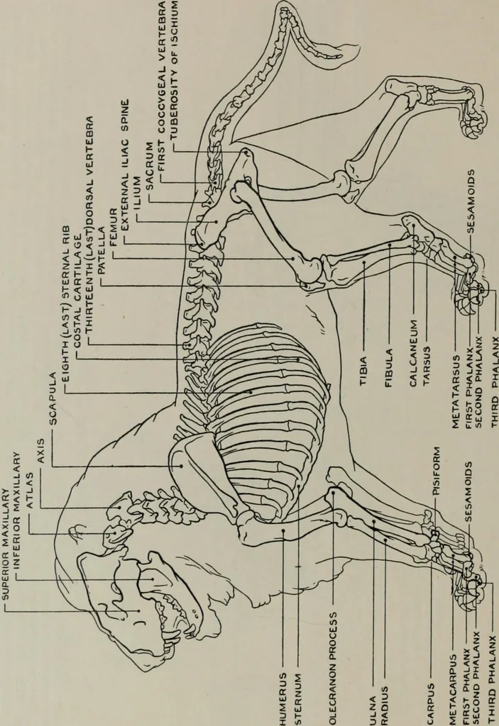 An illustration from Modelling; a guide for teachers and students, 1902, leaf 191