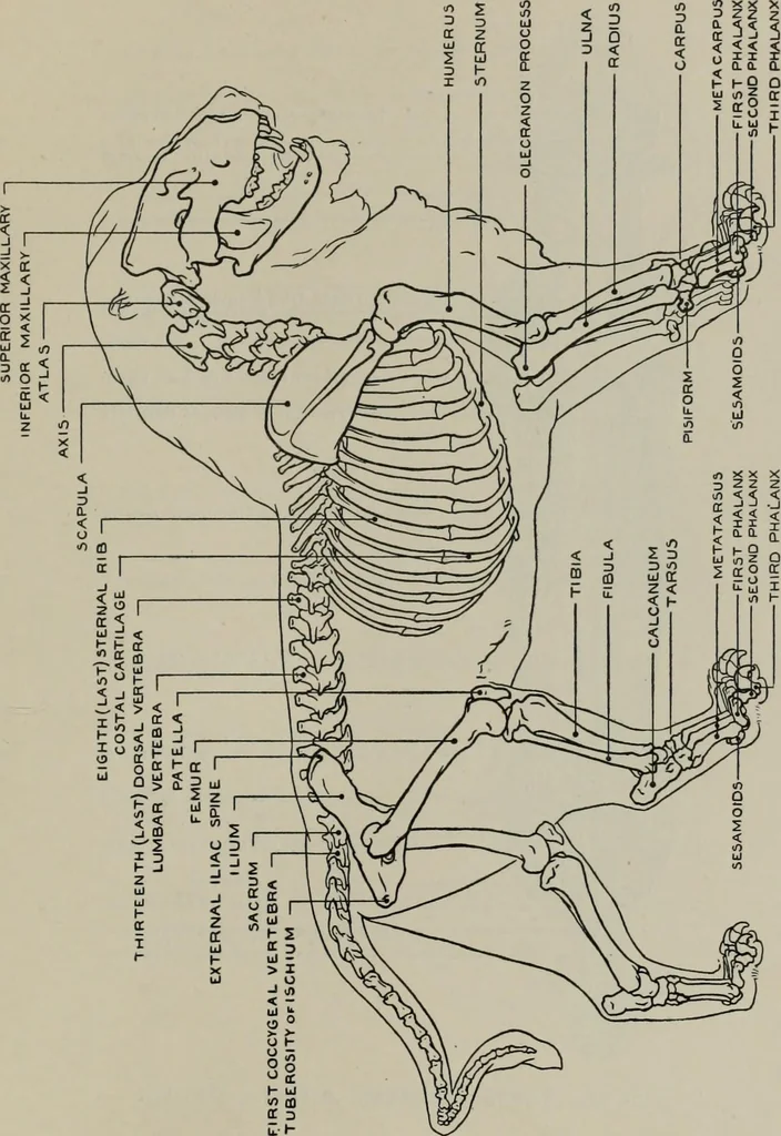 An illustration from Modelling; a guide for teachers and students, 1902, leaf 192