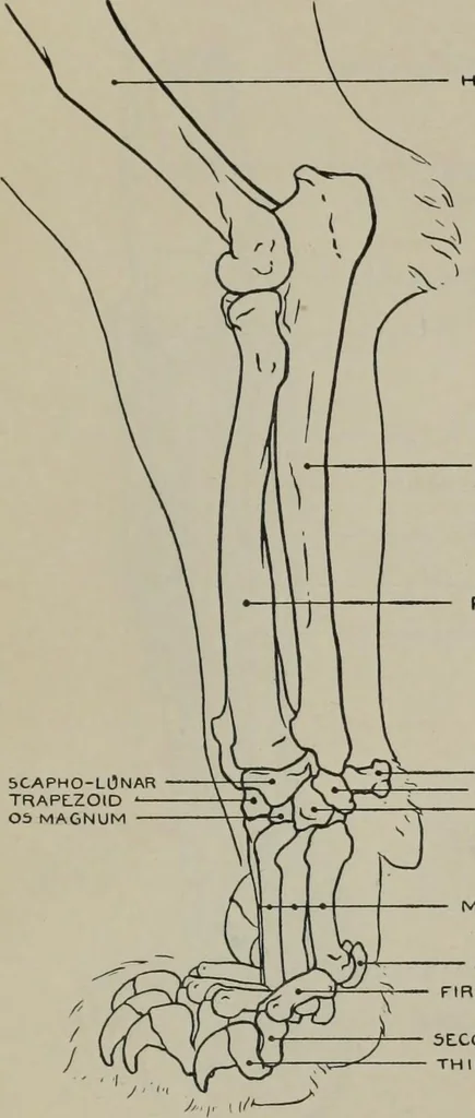 An illustration from Modelling; a guide for teachers and students, 1902, leaf 200