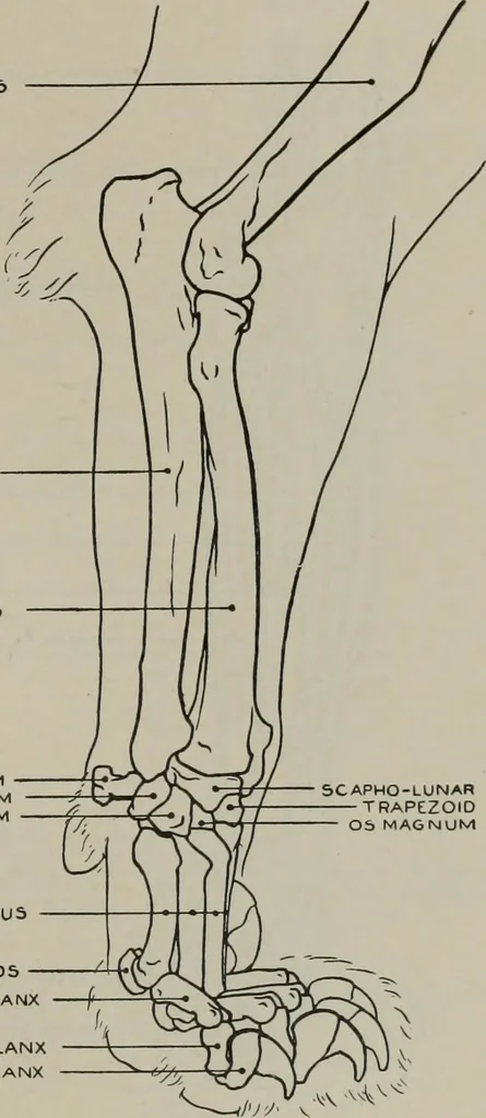 An illustration from Modelling; a guide for teachers and students, 1902, leaf 200