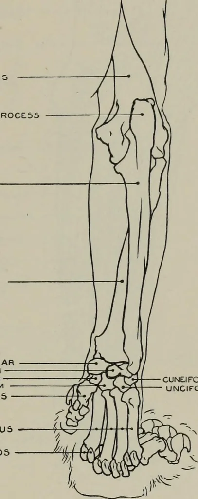 An illustration from Modelling; a guide for teachers and students, 1902, leaf 202
