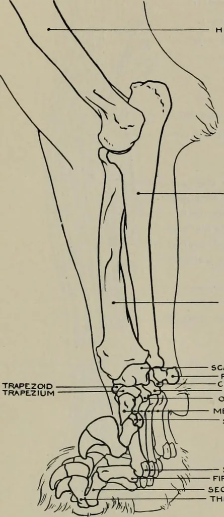 An illustration from Modelling; a guide for teachers and students, 1902, leaf 204