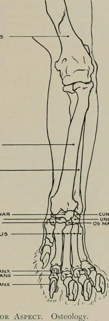An illustration from Modelling; a guide for teachers and students, 1902, leaf 206