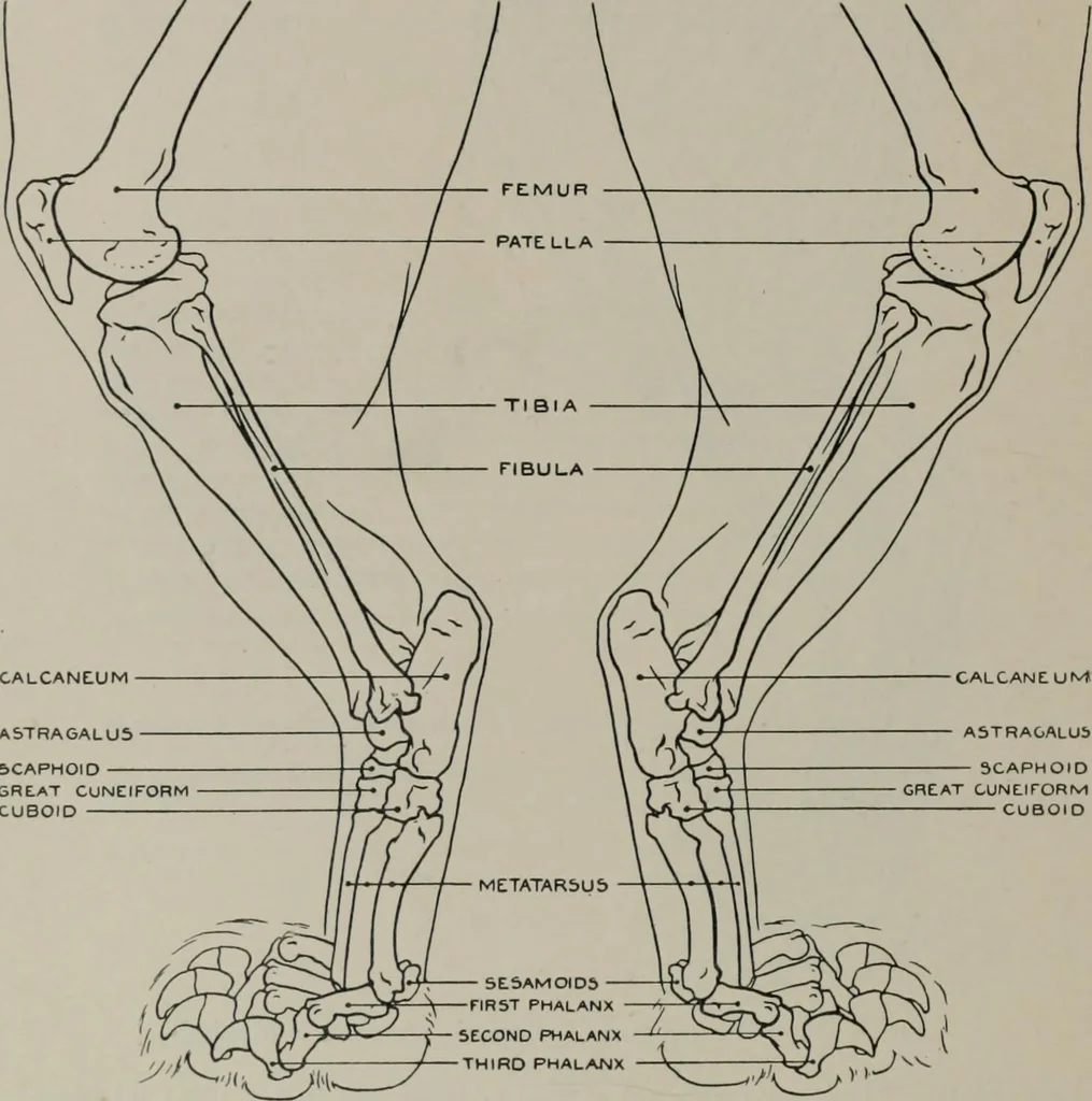 An illustration from Modelling; a guide for teachers and students, 1902, leaf 209