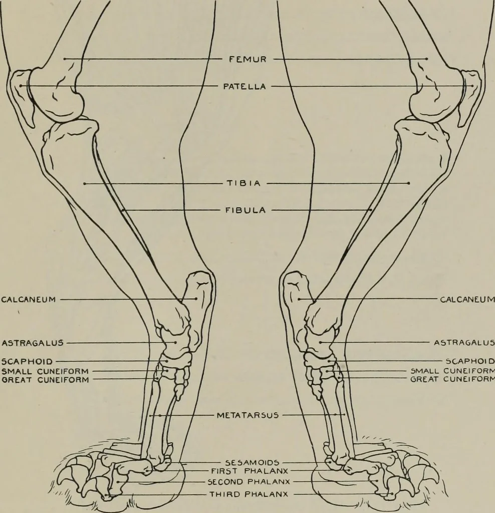 An illustration from Modelling; a guide for teachers and students, 1902, leaf 210
