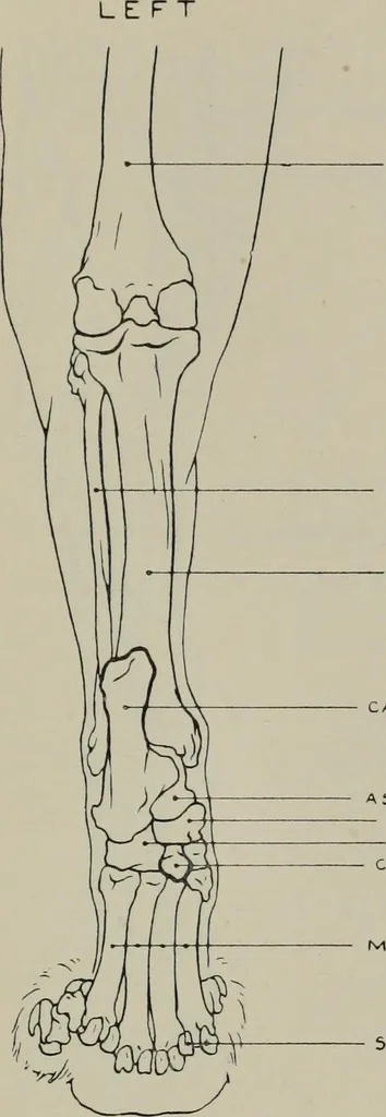 An illustration from Modelling; a guide for teachers and students, 1902, leaf 214