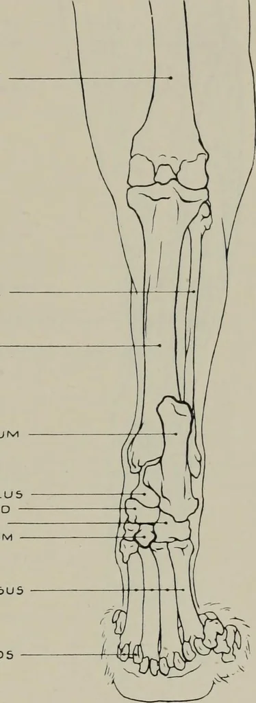 An illustration from Modelling; a guide for teachers and students, 1902, leaf 214