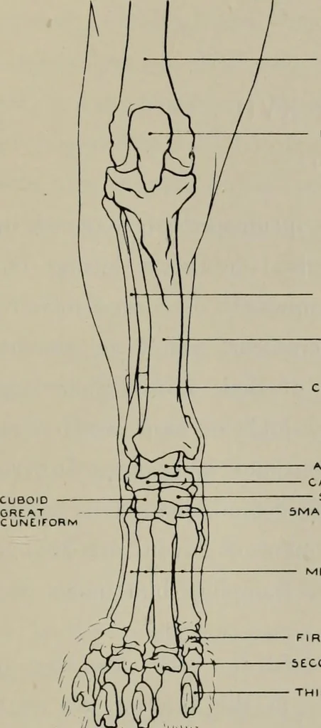 An illustration from Modelling; a guide for teachers and students, 1902, leaf 216