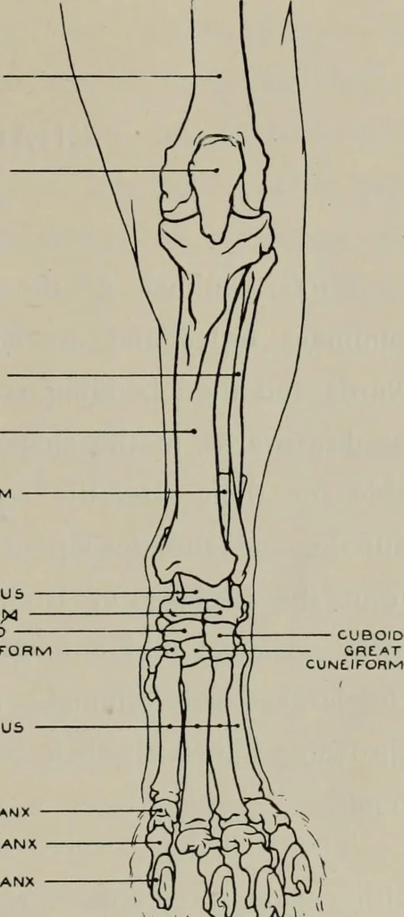 An illustration from Modelling; a guide for teachers and students, 1902, leaf 216