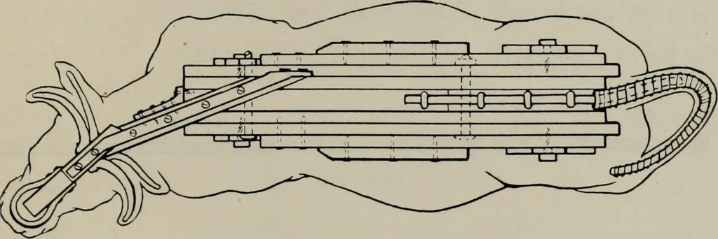 An illustration from Modelling; a guide for teachers and students, 1902, leaf 224