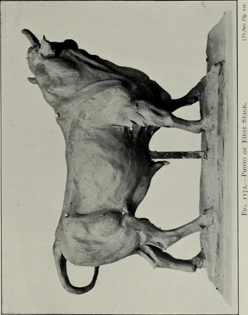 An illustration from Modelling; a guide for teachers and students, 1902, leaf 228
