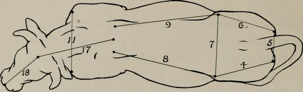 An illustration from Modelling; a guide for teachers and students, 1902, leaf 235