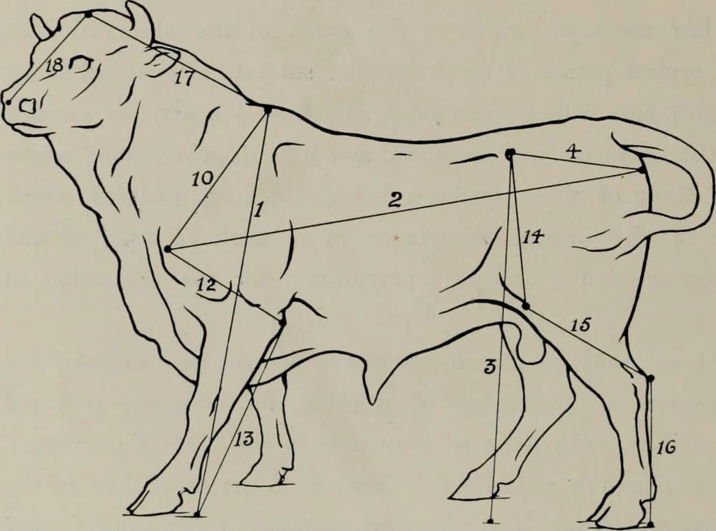 An illustration from Modelling; a guide for teachers and students, 1902, leaf 235