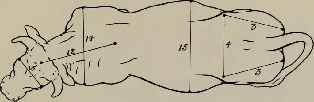 An illustration from Modelling; a guide for teachers and students, 1902, leaf 236