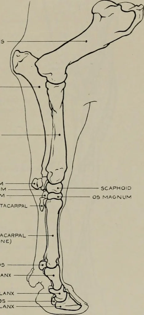An illustration from Modelling; a guide for teachers and students, 1902, leaf 254