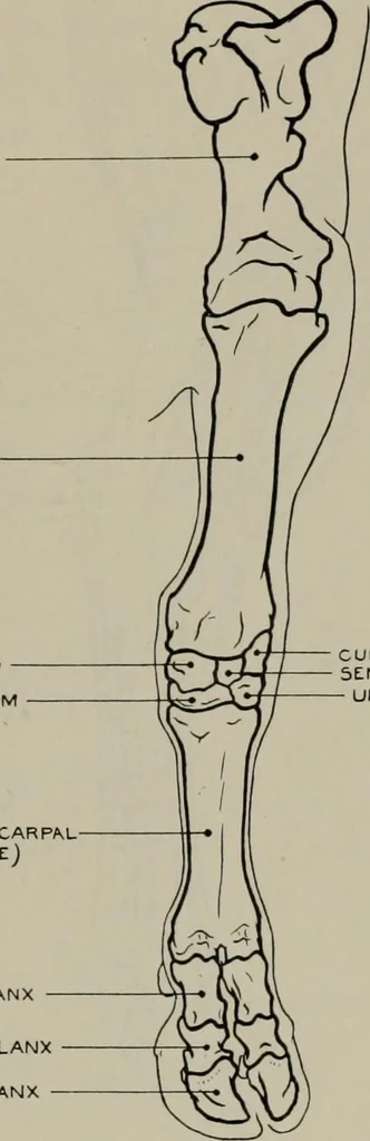 An illustration from Modelling; a guide for teachers and students, 1902, leaf 256