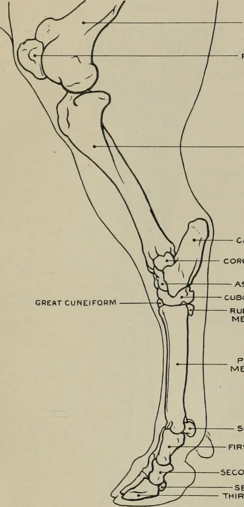 An illustration from Modelling; a guide for teachers and students, 1902, leaf 258