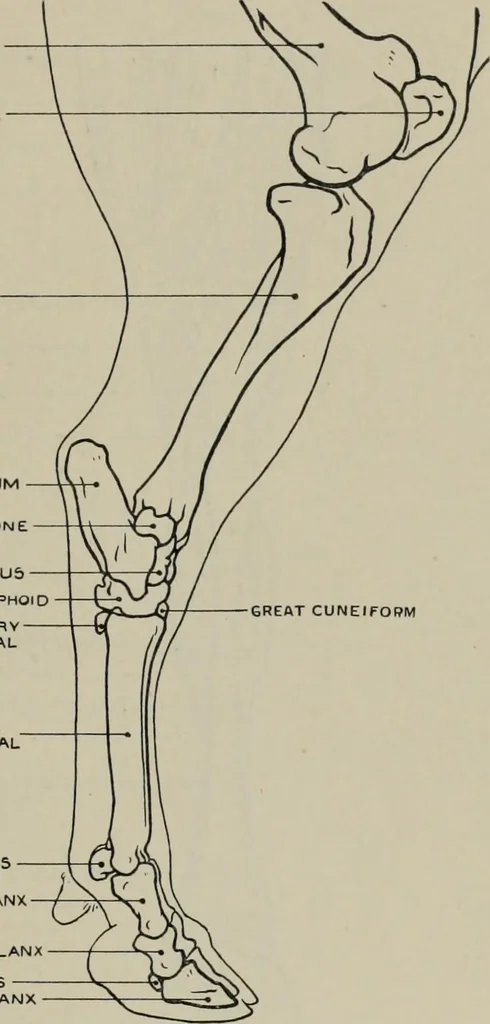 An illustration from Modelling; a guide for teachers and students, 1902, leaf 258