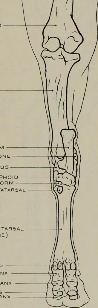 An illustration from Modelling; a guide for teachers and students, 1902, leaf 260
