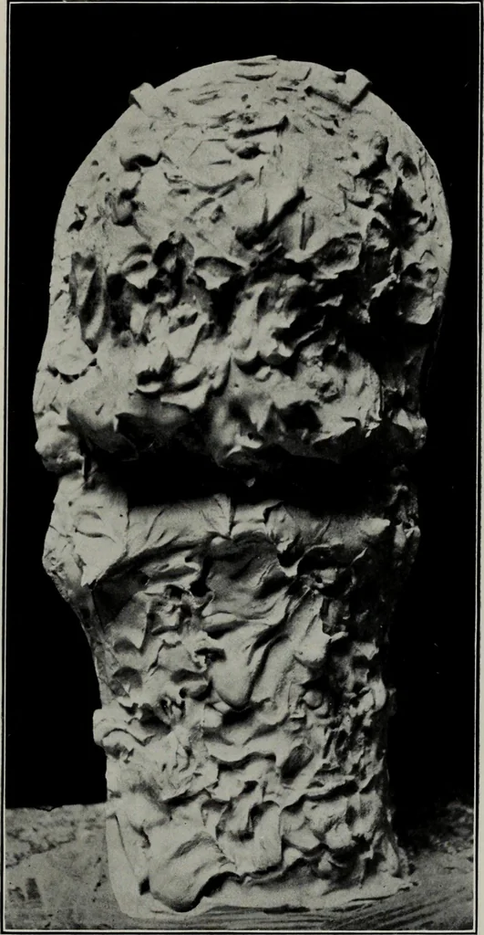 An illustration from Modelling; a guide for teachers and students, 1902, leaf 290