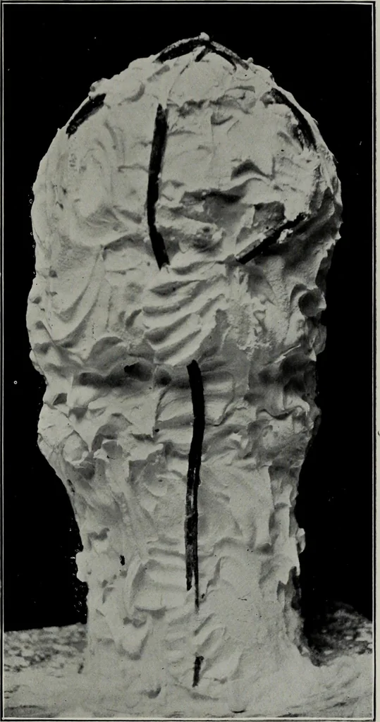 An illustration from Modelling; a guide for teachers and students, 1902, leaf 292