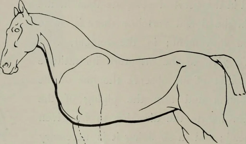 An illustration from Modelling; a guide for teachers and students, 1902, leaf 35