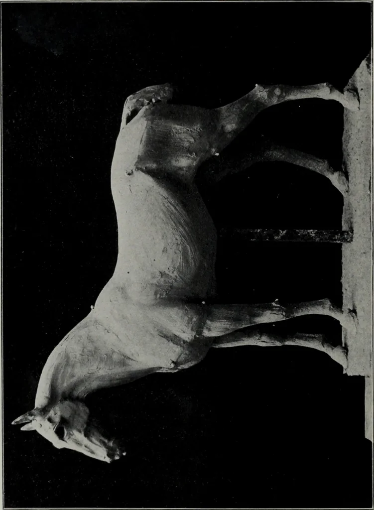 An illustration from Modelling; a guide for teachers and students, 1902, leaf 39