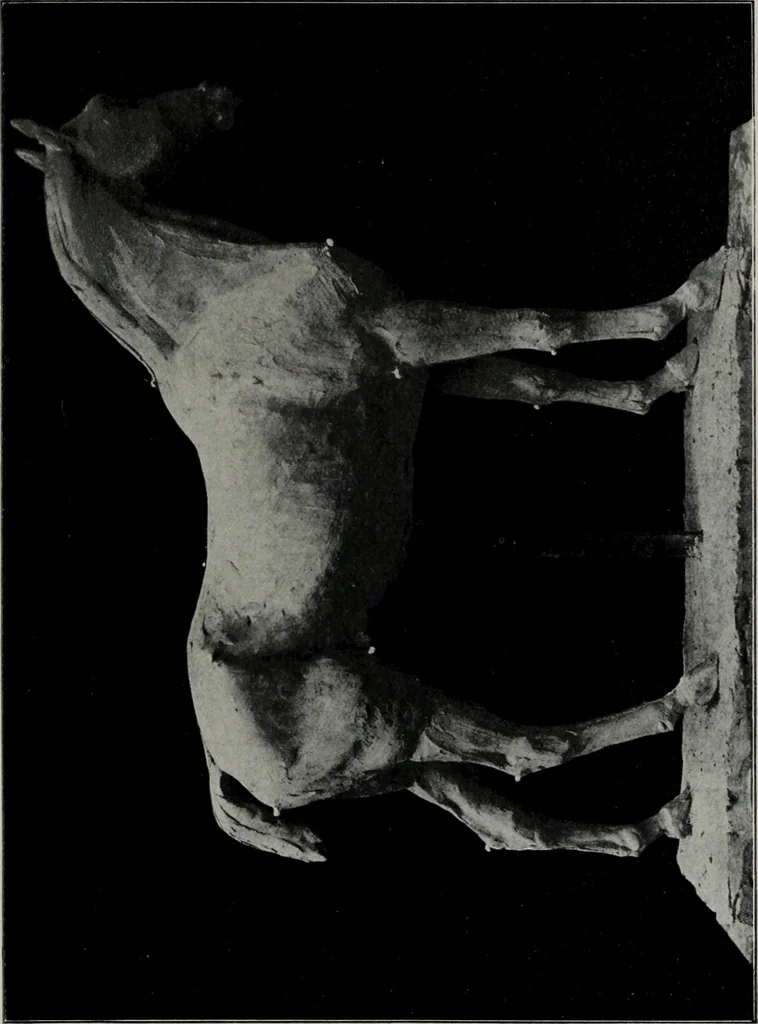 An illustration from Modelling; a guide for teachers and students, 1902, leaf 40