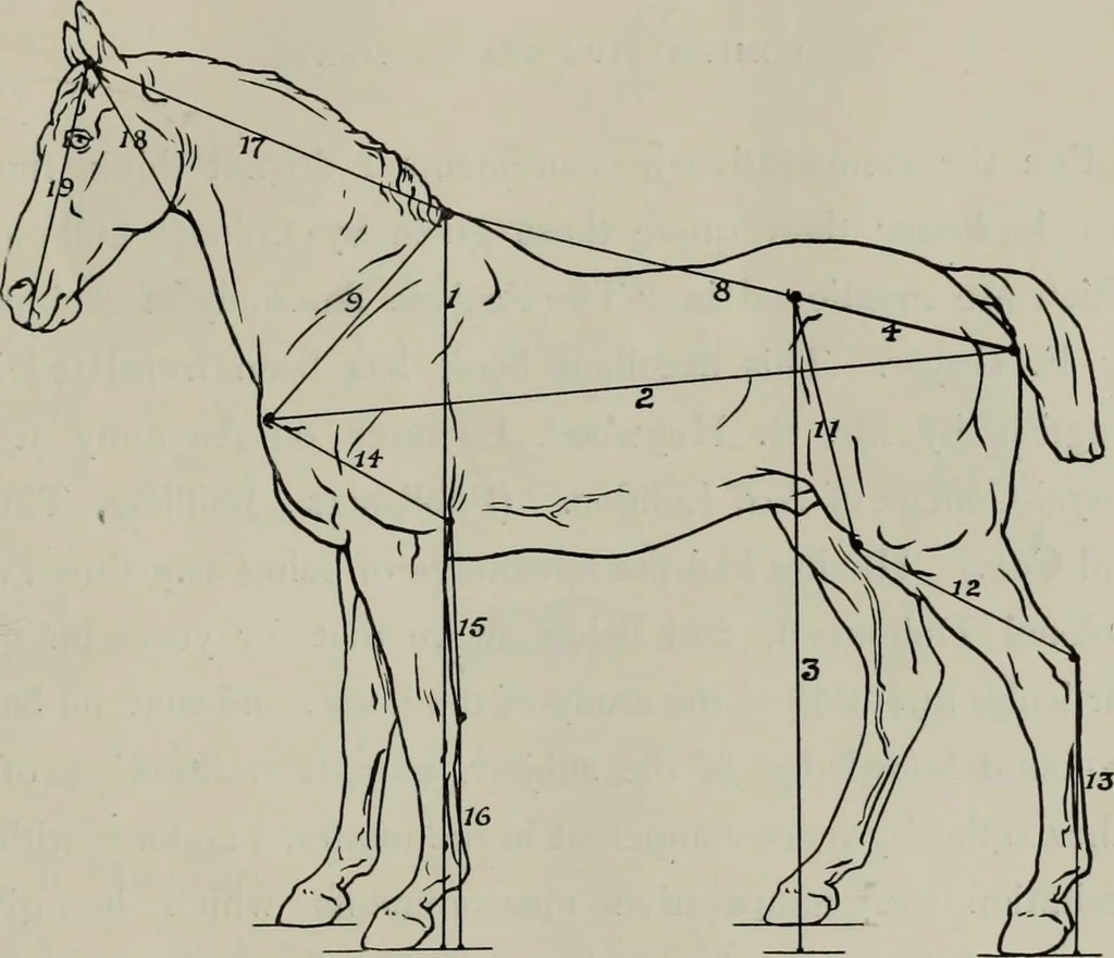 An illustration from Modelling; a guide for teachers and students, 1902, leaf 42