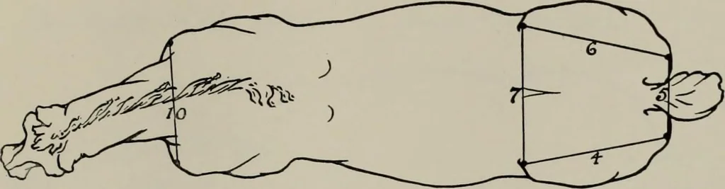 An illustration from Modelling; a guide for teachers and students, 1902, leaf 42